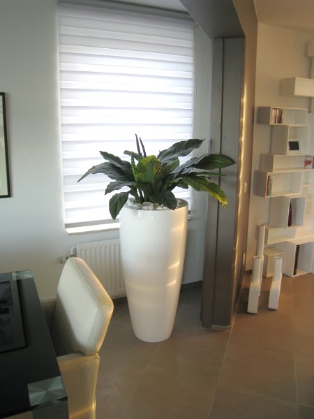 fiberstone white spatyphillum